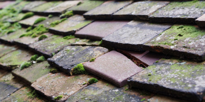Dovecot roof repair costs